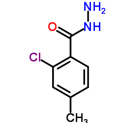 2-Chloro-4-methylbenzohydrazide picture