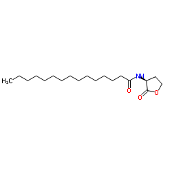 182359-66-6 structure