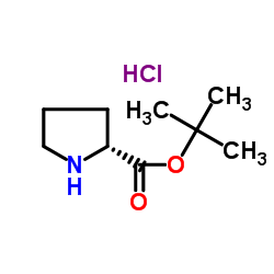 d-proline tert-butyl ester hydrochloride structure