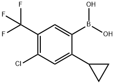 4-Chloro-5-trifluoromethyl-2-cyclopropylphenylboronic acid picture