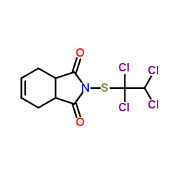 2425-06-1结构式