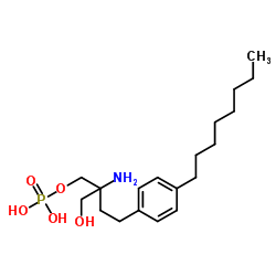 402615-91-2 structure