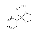 N-[(2-pyridin-2-yl-3H-thiophen-2-yl)methylidene]hydroxylamine结构式