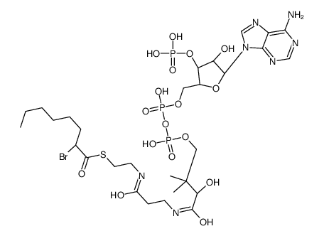 S-[2-[3-[[(2R)-4-[[[(2R,3S,4R,5R)-5-(6-aminopurin-9-yl)-4-hydroxy-3-phosphonooxyoxolan-2-yl]methoxy-hydroxyphosphoryl]oxy-hydroxyphosphoryl]oxy-2-hydroxy-3,3-dimethylbutanoyl]amino]propanoylamino]ethyl] 2-bromooctanethioate Structure