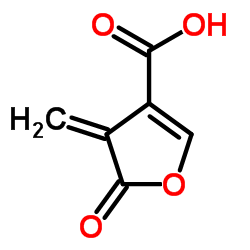 4-Methylene-5-oxo-4,5-dihydro-3-furancarboxylic acid Structure