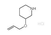 3-prop-2-enoxypiperidine,hydrochloride Structure