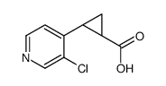 (1R,2R)-2-(3-chloropyridin-4-yl)cyclopropanecarboxylic acid picture