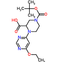 4-(6-Ethoxy-pyrimidin-4-yl)-piperazine-1,3-dicarboxylic acid 1-tert-butyl ester Structure