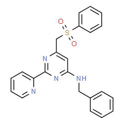 N-Benzyl-6-[(phenylsulfonyl)methyl]-2-(2-pyridinyl)-4-pyrimidinamine Structure