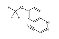 (2E)-2-[[4-(trifluoromethoxy)phenyl]hydrazinylidene]acetonitrile Structure