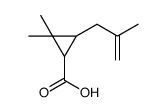 2,2-dimethyl-3-(2-methylprop-2-enyl)cyclopropane-1-carboxylic acid结构式