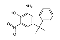 2-amino-6-nitro-4-(2-phenylpropan-2-yl)phenol Structure