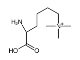 [(5S)-5-amino-5-carboxypentyl]-trimethylazanium Structure