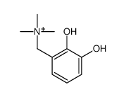 (2,3-dihydroxyphenyl)methyl-trimethyl-azanium structure