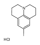 9-Methyljulolidine hydrochloride Structure