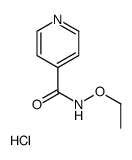 N-ethoxypyridine-4-carboxamide,hydrochloride结构式