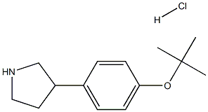 3-(4-叔丁氧苯基)吡咯烷盐酸盐图片