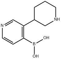 3-(Piperidin-3-yl)pyridine-4-boronic acid structure