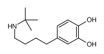 4-[4-(tert-butylamino)butyl]benzene-1,2-diol结构式