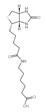 72040-64-3 structure