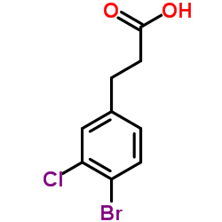 3-(4-溴-3-氯苯基)丙酸图片