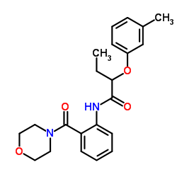 2-(3-Methylphenoxy)-N-[2-(4-morpholinylcarbonyl)phenyl]butanamide结构式