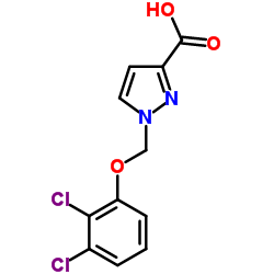 1-(2,3-DICHLORO-PHENOXYMETHYL)-1 H-PYRAZOLE-3-CARBOXYLIC ACID结构式