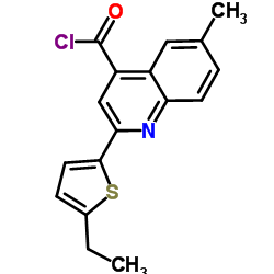 2-(5-Ethyl-2-thienyl)-6-methyl-4-quinolinecarbonyl chloride结构式