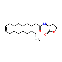 (9Z)-N-[(3S)-2-Oxotetrahydro-3-furanyl]-9-octadecenamide图片