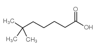 6,6-dimethylheptanoic acid Structure