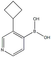 3-(Cyclobutyl)pyridine-4-boronic acid picture