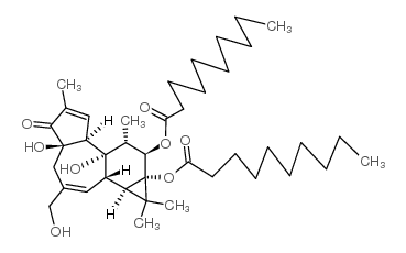 Phorbol-12,13-didecanoate Structure