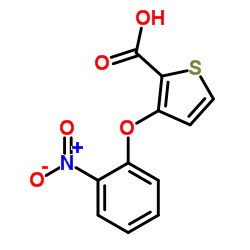 3-(2-Nitrophenoxy)thiophene-2-carboxylic acid Structure