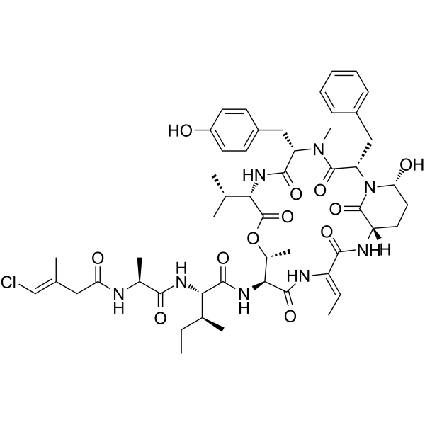 2756129-42-5 structure