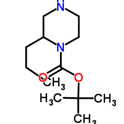 1-BOC-2-PROPYL-PIPERAZINE Structure