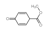 2,5-Cyclohexadiene-1-carboxylicacid,4-oxo-,methylester(9CI)结构式