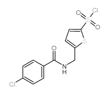 5-(4-CHLOROBENZAMIDOMETHYL)THIOPHENE-2-SULPHONYL CHLORIDE picture