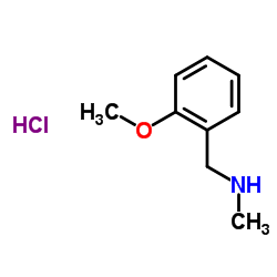 1-(2-Methoxyphenyl)-N-methylmethanamine hydrochloride图片