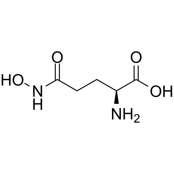 L-GlutaMic acid γ-MonohydroxaMate Structure