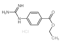 24503-25-1 structure