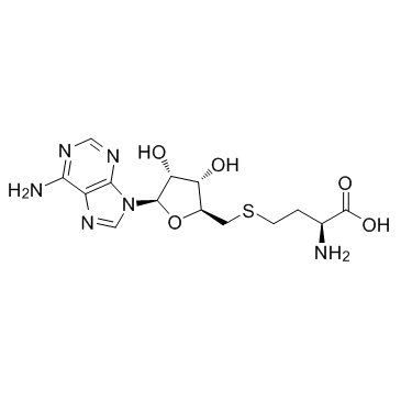 SAH structure