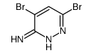 4,6-dibromopyridazin-3-amine picture