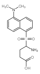 dansyl-4-aminobutyric acid structure