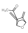 Ethanone, 1-[5,6-bis(methylene)-7-oxabicyclo[2.2.1]hept-2-yl]-, exo- (9CI) picture