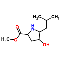 Methyl 4-hydroxy-5-isobutylprolinate Structure