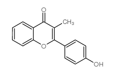 55456-75-2 structure