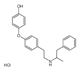 4-[4-[2-(1-phenylpropan-2-ylamino)ethyl]phenoxy]phenol,hydrochloride结构式