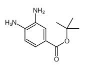 tert-butyl 3,4-diaminobenzoate structure