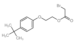 Acetic acid, 2-bromo-,2-[4-(1,1-dimethylethyl)phenoxy]ethyl ester picture