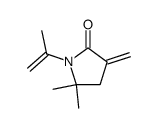 1-(1-methylethenyl)-3,3-methylene-5,5-dimethyl-2-pyrrolidinone结构式